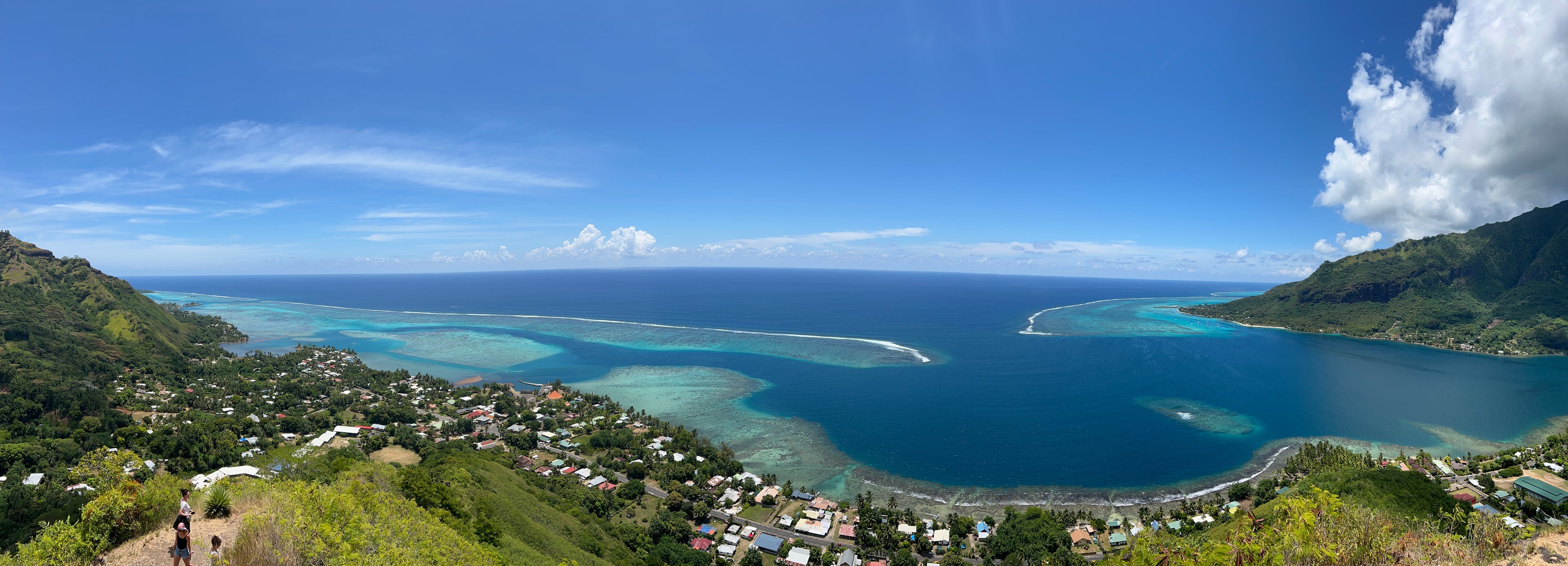 Safari Mario Moorea
