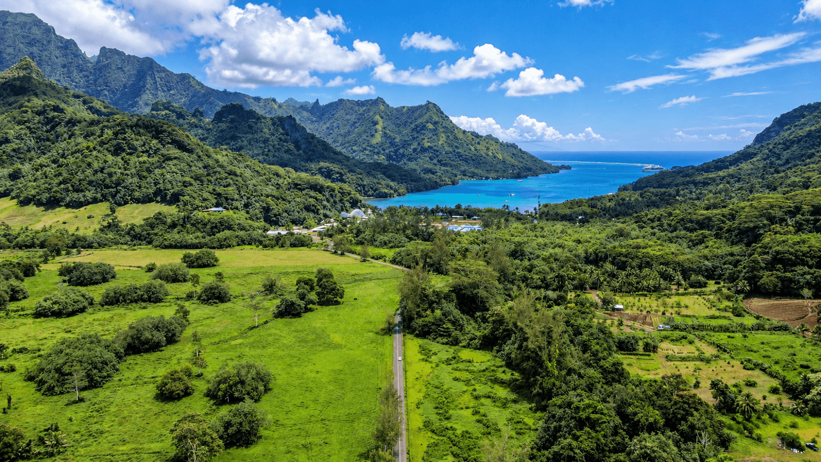 Safari Mario Moorea