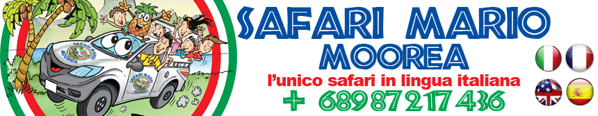 www.safarimario.com